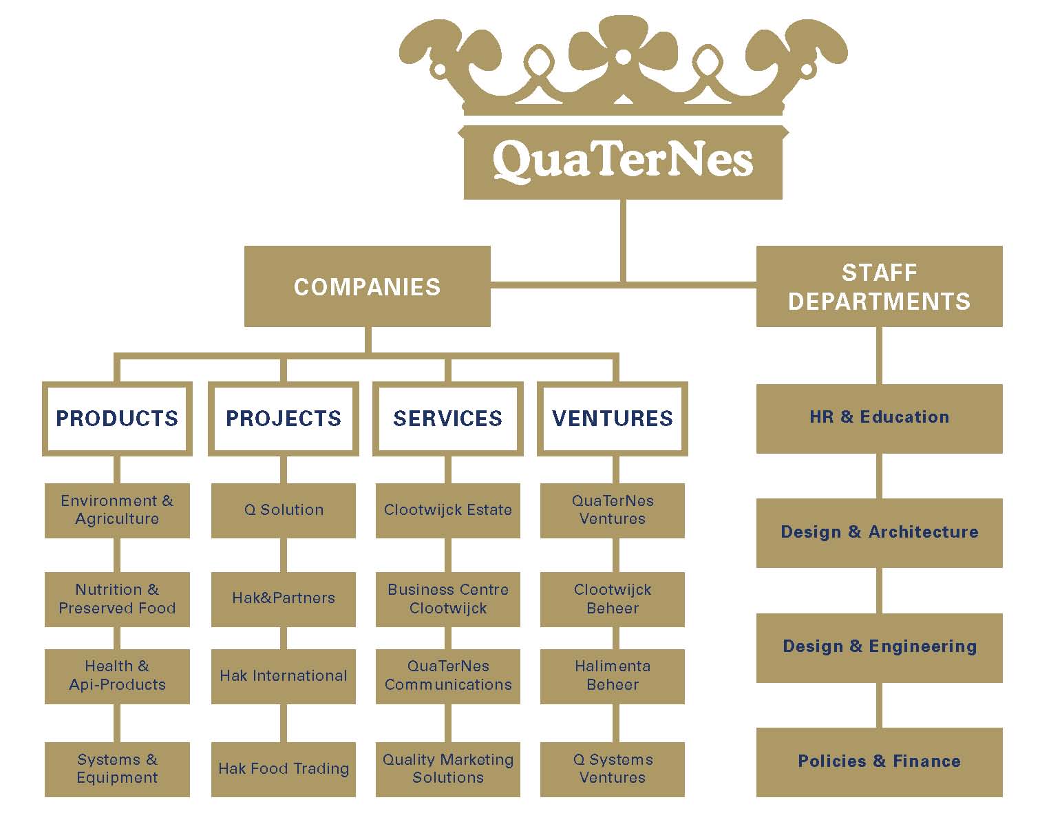 QuaTerNes structure